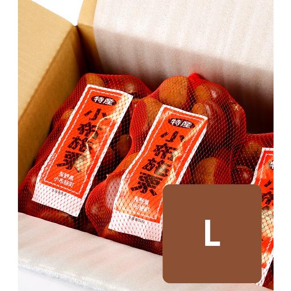 L iiia＊様　生栗　3キロ L iiia＊様 生栗 3キロ かすみがうら市産 生栗 3Lサイズ 3kg | 茨城県