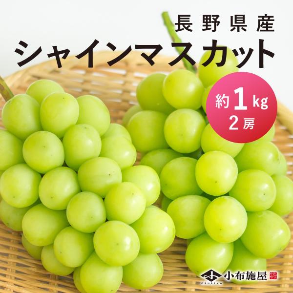ぶどう シャインマスカット 約1kg /送料無料 常温便 長野 産地直送 果物 フルーツ 葡萄 信州 数量限定 :FT-L-003:小布施屋 ヤフー店 - 通販 - Yahoo!ショッピング ぶどう シャインマスカット 約1kg /送料無料 常温便 長野 産地直送 果物 フルーツ 葡萄 信州 数量限定 :FT-L-003:小布施屋 ヤフー店 - 通販 - Yahoo!ショッピング