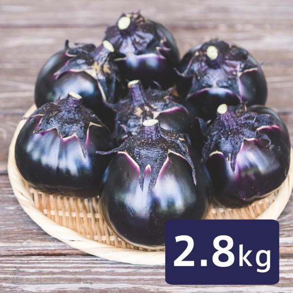 小布施丸なす 約2.8kg /生なす 丸茄子常温便 送料無料 長野県産地直送 信州の伝統野菜 お取り寄せ 3kg箱 爆買
