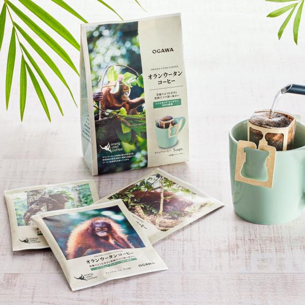 �R�[�q�[ �M�t�g2026 �I�����E�[�^���R�[�q�[ �h���b�v�R�[�q�[ 5�t��|������������ � �h���b�v�o�b�N ������ �c���䌩�� ���i�摜1