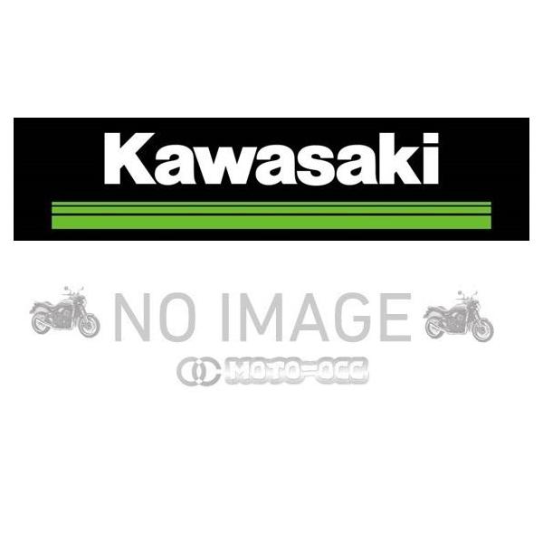 カワサキ（Kawasaki） W800/W800 STREET/W800 CAFE Kawasaki