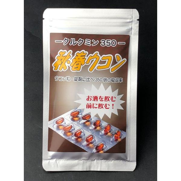 送料無料のお試し品！お一人様1個限定　秋・春ウコン 10粒