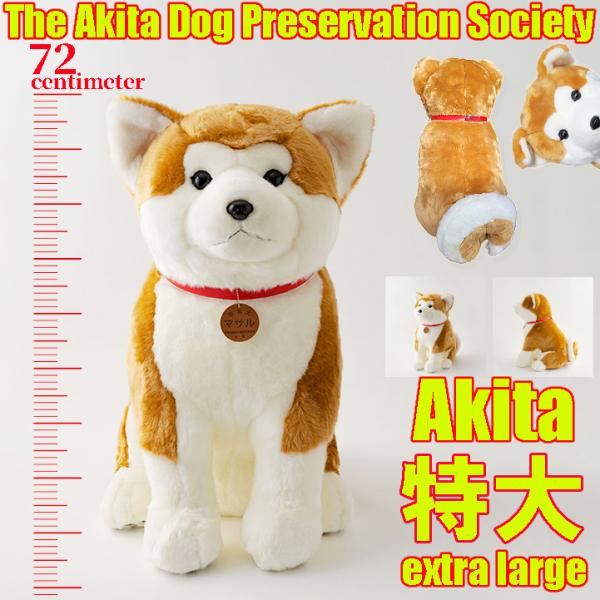 即日出荷】益社団法人秋田犬保存会 秋田犬 マサル ぬいぐるみ 特大