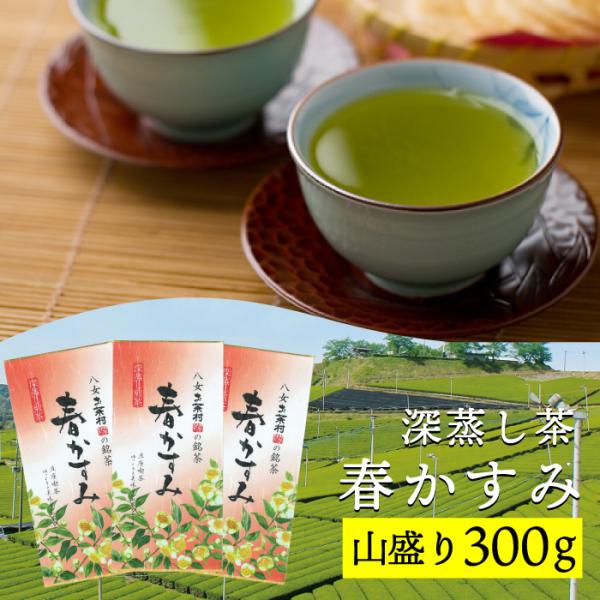 お茶 茶葉 お茶の葉 深蒸し茶 春かすみ 100g入り×3袋  緑茶 深蒸し茶 茶葉 八女茶 知覧茶 日本茶 煎茶  深蒸し茶 健康茶 日本茶 お茶村 大容量