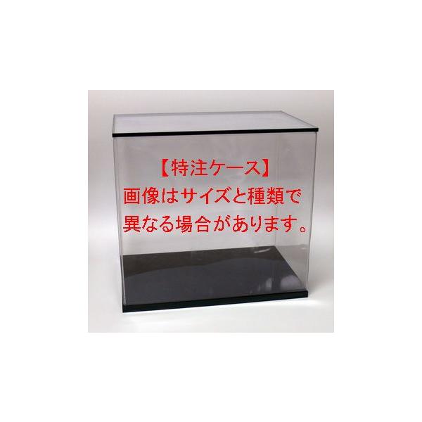 IN^S P[X 50×s32×60 (cm) tBMAP[X fBXvCP[X l`P[X