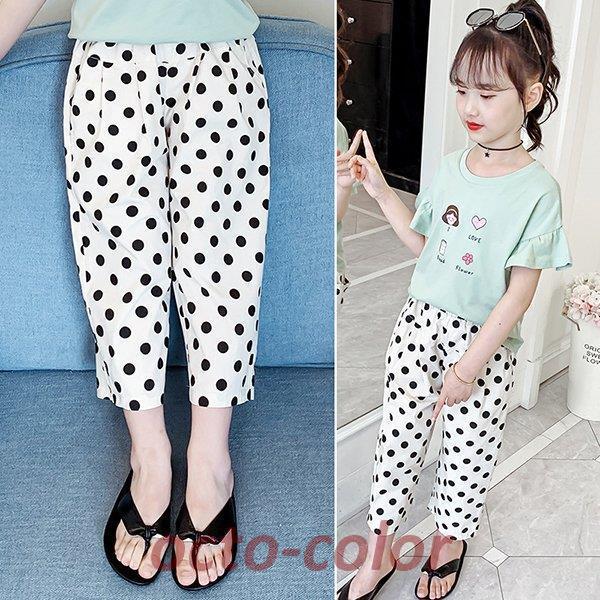 W[W  q ̎q jp pc LbY  Y{ {gX  xr[ EFXgS Xgb`pc Lт 悯  Vi