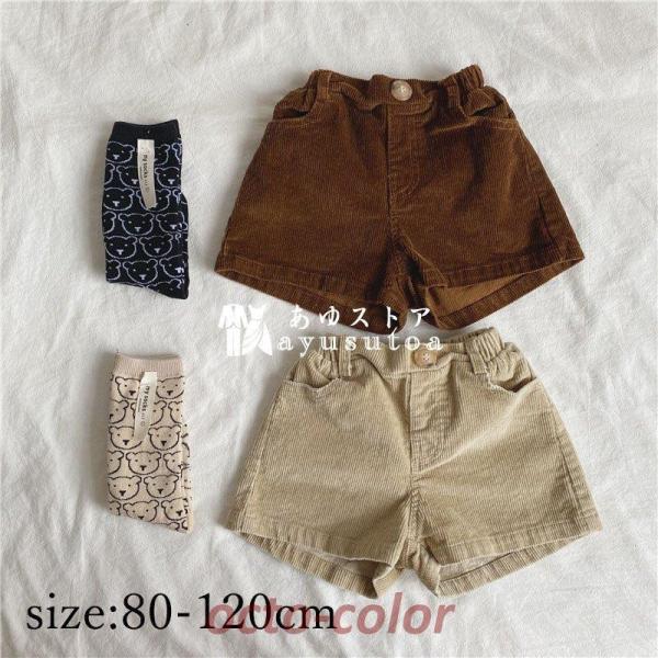 Y{ n[tpc LbY {gX j̎q ̎q Ƃ  IV JWA V[g pc n[tY{ w Ǝ w ʊw 2F