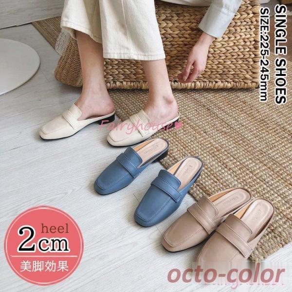 ~[V[Y fB[X t T{T_ XNGAgDV[Y tbgT_ r ₷ ɂȂ C fB[XV[Y ʋ IV