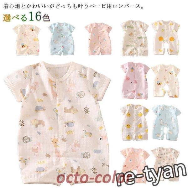  p[X Jo[I[ xr[ 100% K[[ j̎q ̎q OJ SJ ԕ xr[ q K  [E