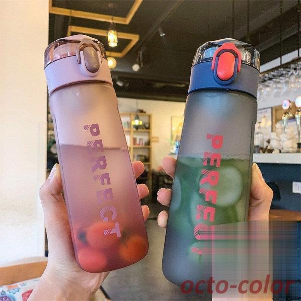   vX`bN{g e y ֗ IV ins ̑ K g[jO 500ml  q l ʋ ʊw ^ X|[c {g Rbv