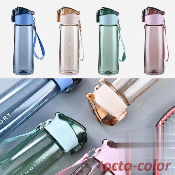   ^ {g e ^ y ֗ vX`bN{g ʋ ʊw W jO ̑ K g[jO X|[c Rbv