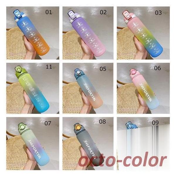   e 1000ml jO ̑ W K g[jO ^y {g  Of[V X|[c  1L ʋ  {g Rbv