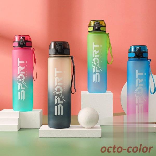   1000ml e y ^ Of[V oR vX`bN{g W ̑ K g[jO q l X|[c Rbv