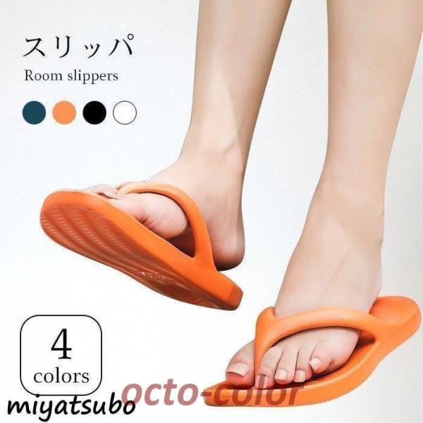 Xbp fB[X Y [V[Y [T_   ɂ r[`T_ Vv  C