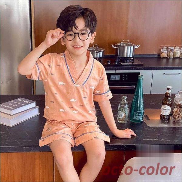 pW} LbY  150 160 120  qpW} j̎q q ZbgAbv t [EFA  TVc n[tpc QԒ  