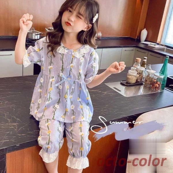 pW} LbY  150 160 120  qpW} j̎q q ZbgAbv t [EFA  TVc n[tpc QԒ  