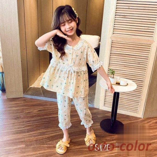 pW} LbY  150 160 120  qpW} j̎q q ZbgAbv t [EFA  TVc n[tpc QԒ  