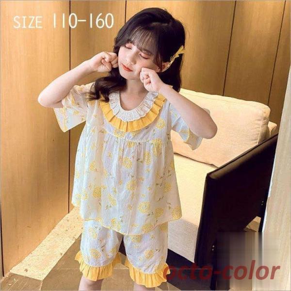 pW} LbY  150 160 120  qpW} ̎q q ZbgAbv t [EFA  TVc n[tpc QԒ  