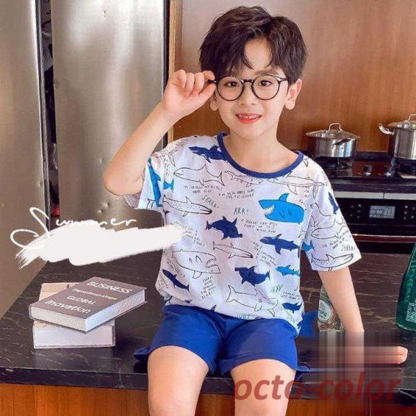 pW} LbY  150 160 120  qpW} j̎q q ZbgAbv t [EFA  TVc n[tpc QԒ  