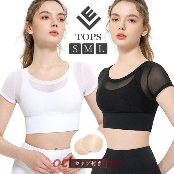 JbvtgbvX KEFA gbvX K fB[X 킢  zbgK ^Ngbv X|[cEFA fB[X X|[cu