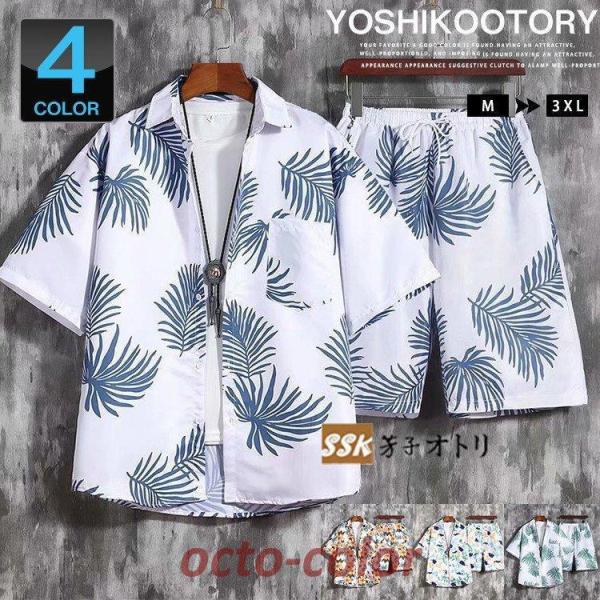 ㉺Zbg Y  ZbgAbv ㉺ AnVc V[c  ԕ [EFA 