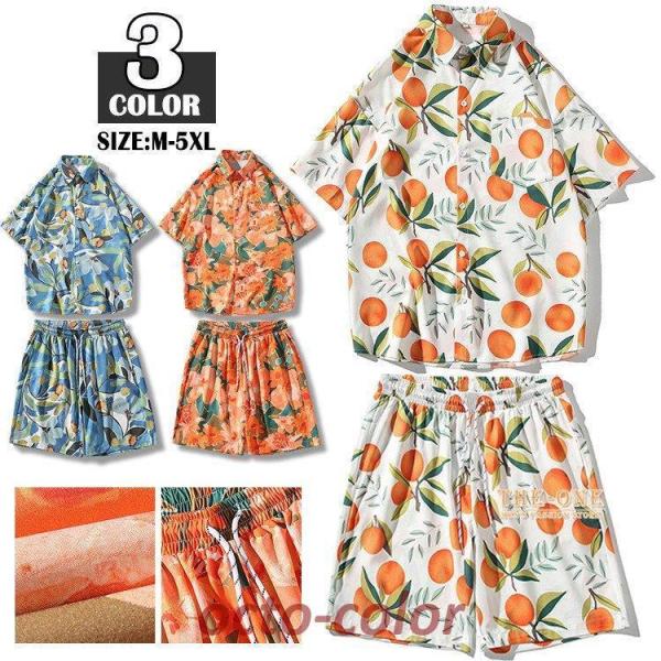 ZbgAbv Y  ㉺ Vc AnVc W[W㉺ ㉺Zbg  n[tpc n  Ђ ⊴