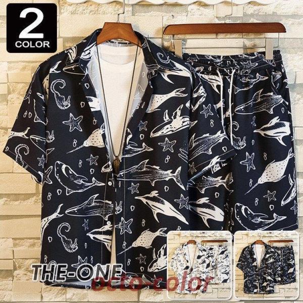 ZbgAbv Y  ㉺  JWAVc Zp V[c   ㉺Zbg ĕ