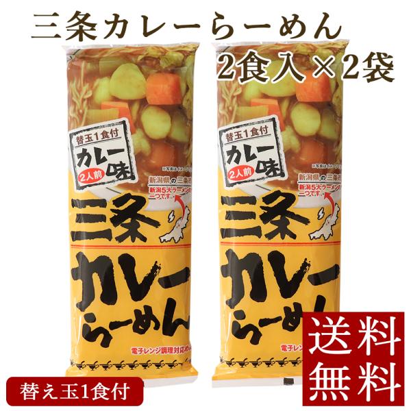 三条カレーらーめん 2食入×2袋 メール便 新潟ラーメン 乾麺 送料無料 ポイント消化