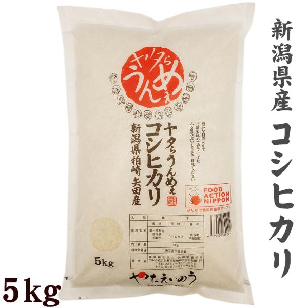 コシヒカリ 新潟県産 5kg 2025年度産 令和7年産 ヤタらうんめぇコシヒカリ