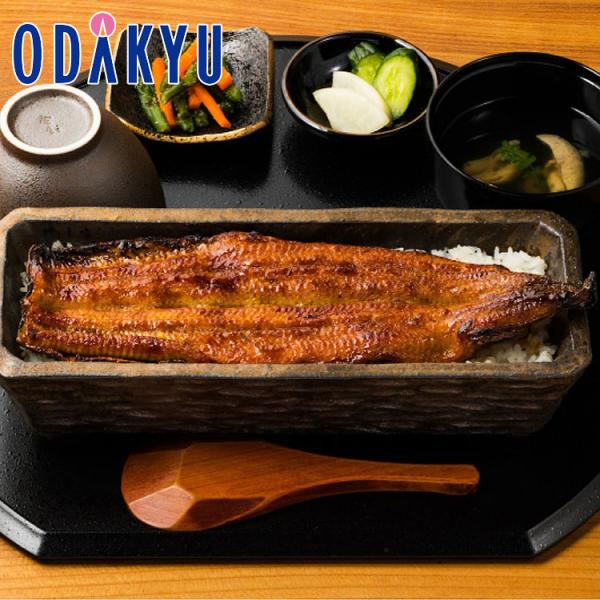 お取り寄せ ごちそう 送料無料 名古屋 うなぎ 四代目菊川 炭火手焼き 一本うなぎ蒲焼　7から10日程度でのお届 沖縄・離島へは届不可 直