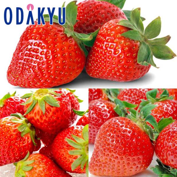 産地：長崎県他重さ：約0.7kg等級：A品以上内容：長崎県産他「ゆめのか」×1パック静岡県産「紅ほっぺ」×1パック福岡県産「博多あまおう」×1パック