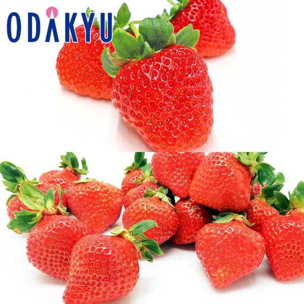 産地：熊本県福岡県重さ：約1.1kg等級：ひのしずく：黒箱あまおう：EX内容：熊本県菊池産「ひのしずく」×1箱福岡県産「博多あまおう」エクセレント×1箱