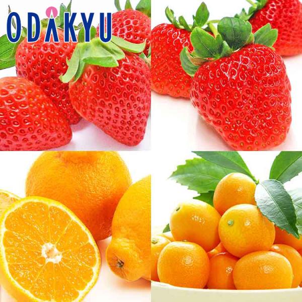 産地：熊本県重さ：約2.1kg内容：熊本県産「ゆうべに」×１パック熊本県産「ひのしずく」×1パック熊本県産「デコポン」×3玉熊本県産完熟金柑「夢小町」×1kg