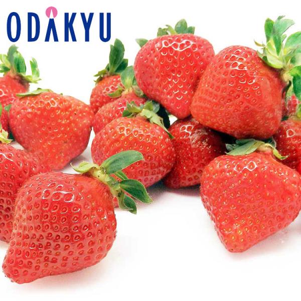 産地：福岡県重さ：約0.9kg等級：EX内容：福岡県産「博多あまおう」18粒~24粒入り