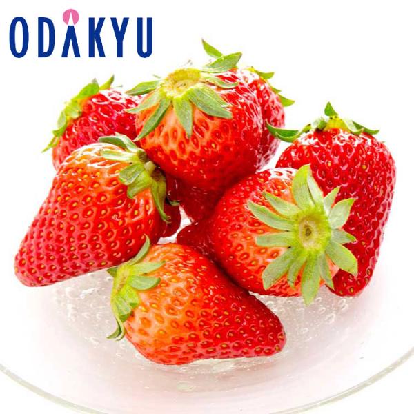 産地：静岡県重さ：約0.4kg内容：静岡県産「紅ほっぺ」9粒~15粒入り