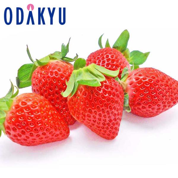 産地：熊本県重さ：約0.5kg等級：A品以上内容：熊本県産「ゆうべに」平トレー×2パック