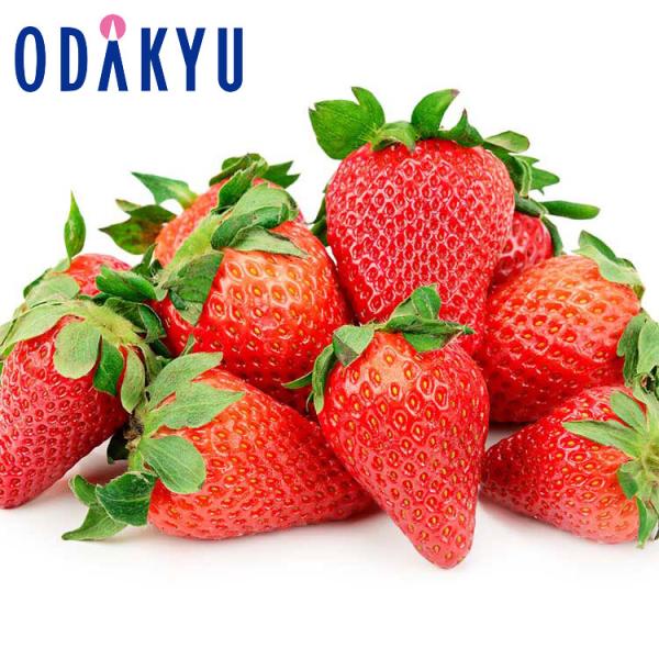 産地：佐賀県重さ：約0.5kg等級：A品以上内容：佐賀県産「いちごさん」平トレー×2パック