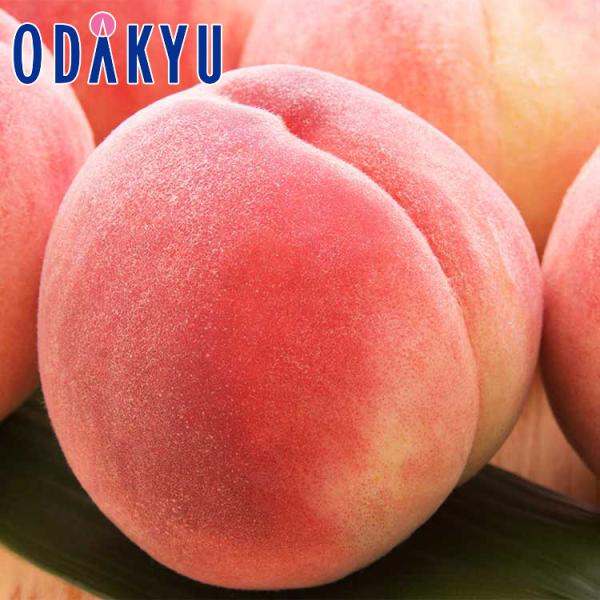 桃 もも 送料無料 山梨県産 新品種 夢桃香 6〜8玉 6月下旬以降 約1.8kg  6月下旬以降のお届け※沖縄・離島へは届不可 直
