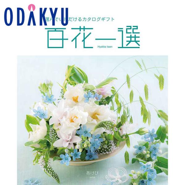 専用です　カタログギフト　百花一選　はるにれ　リンベル カタログギフト] 百花一選 譲葉（ゆずりは）｜カタログギフトの