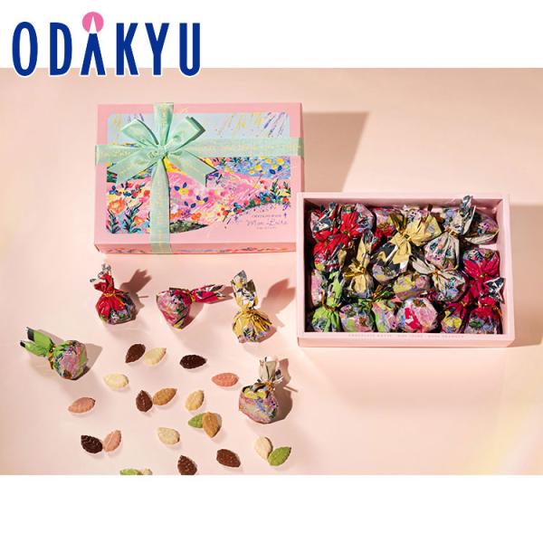 バレンタイン 2026 モンロワール リーフメモリーカラーボックス 20個入