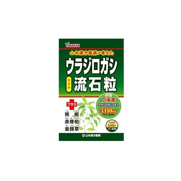 メール便 ウラジロガシ流石粒　240粒入り ・メール便にて発送致します
