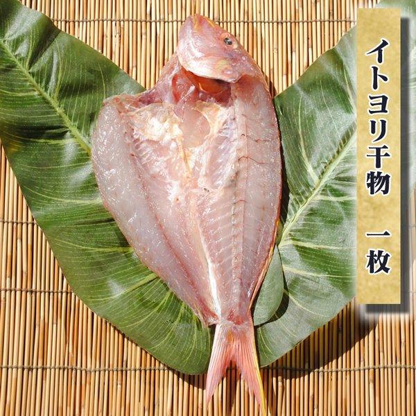 お取り寄せ 海鮮 グルメ 残暑見舞い ギフト プレゼント 産地直送  食品 誕生日 国産  イトヨリ干物 1枚  魚 手作り こだわり 小田原