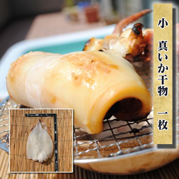 お取り寄せ 海鮮 グルメ 残暑見舞い ギフト プレゼント 産地直送  食品 誕生日 国産  小真いか(スルメイカ)一夜干 1枚 魚 手作り こだわり 小田原