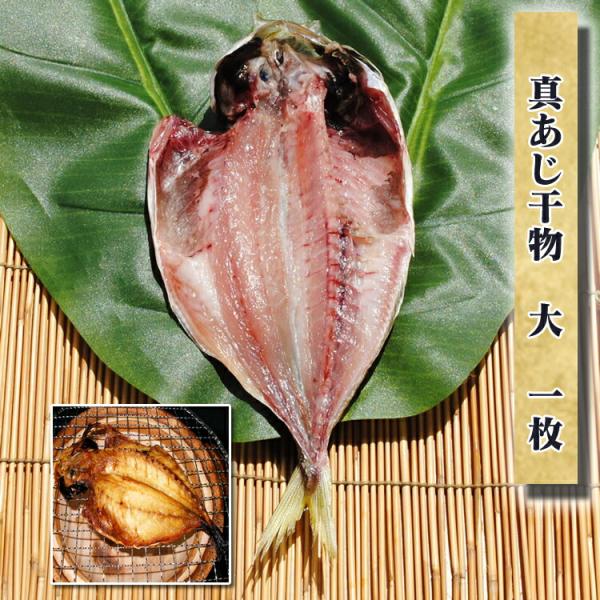 お取り寄せ 海鮮 グルメ 残暑見舞い ギフト プレゼント 産地直送  食品 誕生日 国産   国産 真アジ干物 大 1枚 あじ 魚 開き  手作り こだわり 小田原