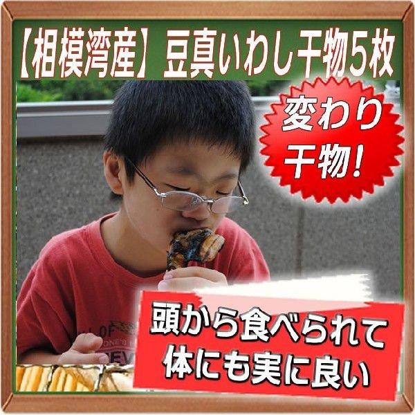 お返し  ギフト プレゼント 豆いわし5尾真空パック  (相模湾産) お返し 父の日
