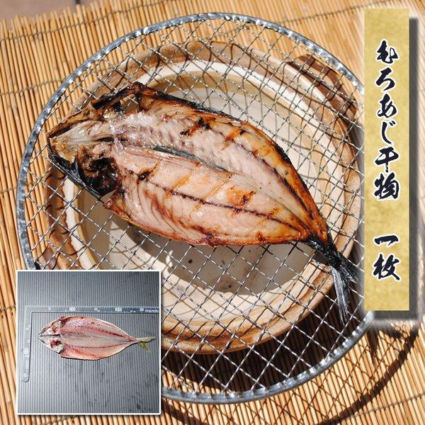お取り寄せ 海鮮 グルメ 残暑見舞い ギフト プレゼント 産地直送  食品 誕生日 国産   むろあじ干物 1枚   魚 ムロアジ 手作り こだわり 小田原