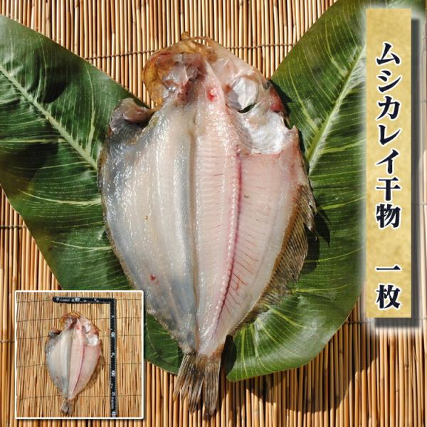 お取り寄せ 海鮮 グルメ 残暑見舞い ギフト プレゼント 産地直送  食品 誕生日 国産  カレイ干物 1枚 魚 手作り こだわり 小田原