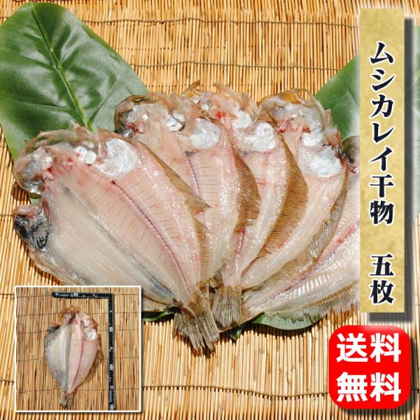 お中元 暑中見舞い ギフト プレゼント お取り寄せ 海鮮 グルメ 産地直送  食品 誕生日 国産  カレイ干物 5枚 送料無料 国産 魚 手作り こだわり 小田原