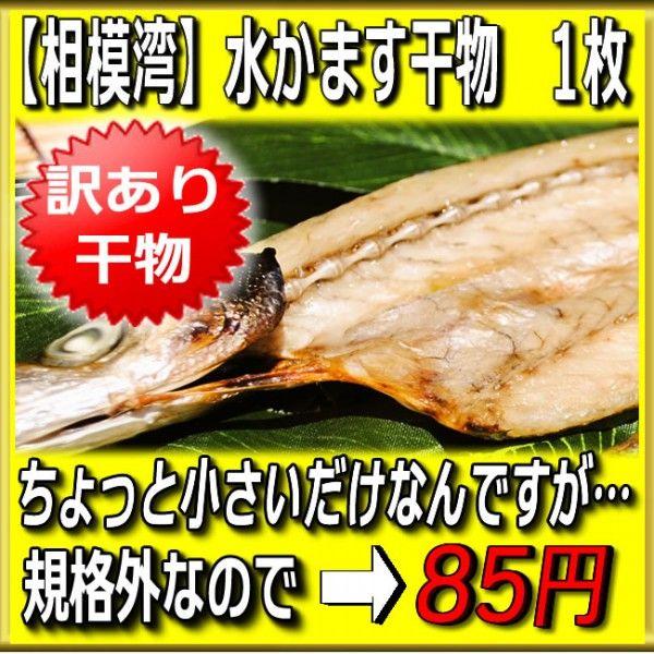 (訳あり)水かます干物(相模湾産) 1枚　ちょっと小さいだけなんですが…