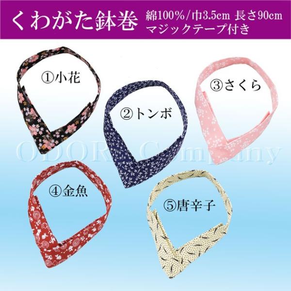 킪 ͂܂   sN   Y fB[X ^ ̈  VY